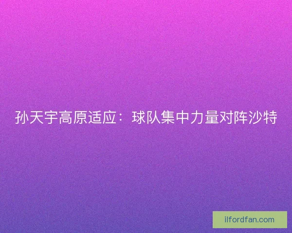 孙天宇高原适应：球队集中力量对阵沙特
